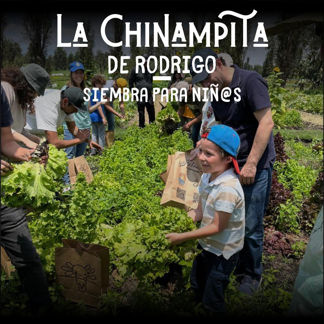 Chinampita de Rodrigo - Domingo 30/Noviembre/2025