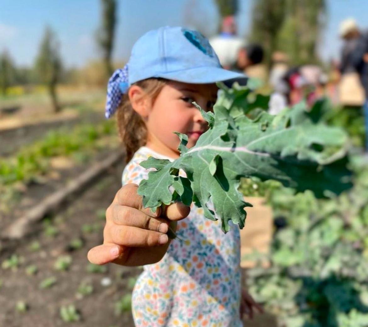 Evento de Navidad - Para niñ@s